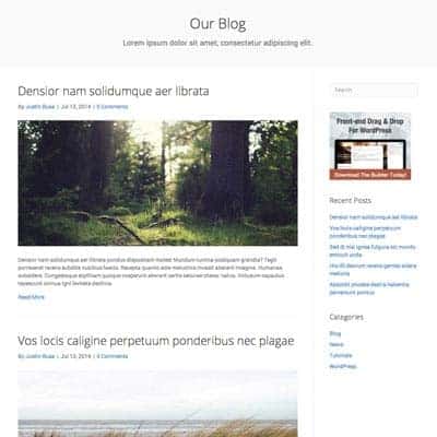 Blog Feed