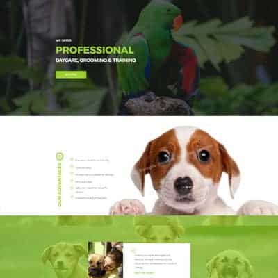 Pet Care 2 - :Landing