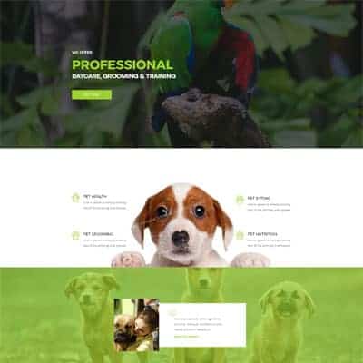 Pet Care - Landing
