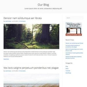 Blog Feed