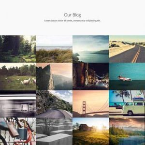Blog Gallery