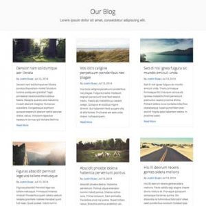 Blog Grid