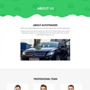 Car Dealer - About