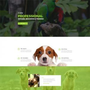 Pet Care - Landing