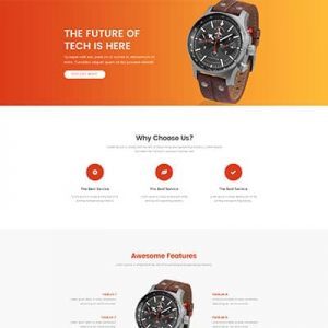 Product 1 - Landing